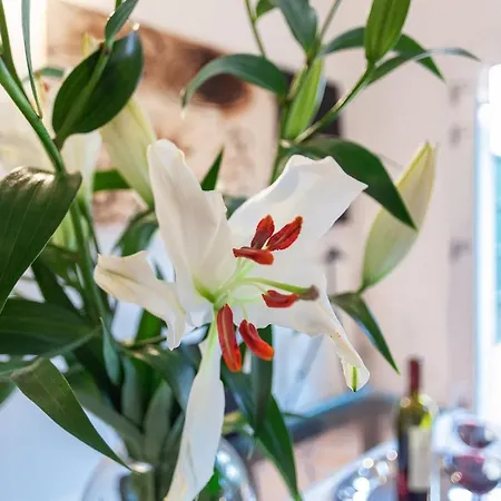 L'angolo Segreto Nel Pieno Centro Di Appartement Ferrare