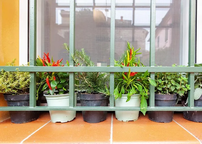 Guesthost - L'angolo Segreto Nel Pieno Centro Di