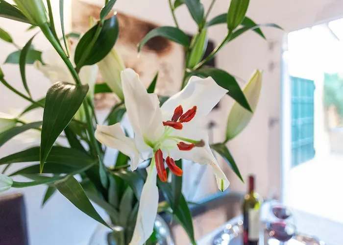 Guesthost - L'angolo Segreto Nel Pieno Centro Di Apartament Ferrara